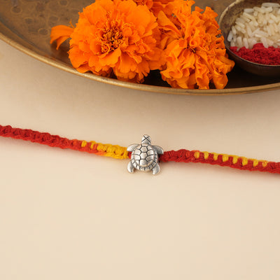 Silver Tortoise Rakhi